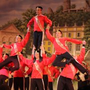 Godesberger Stadtsoldaten (29.01.13)